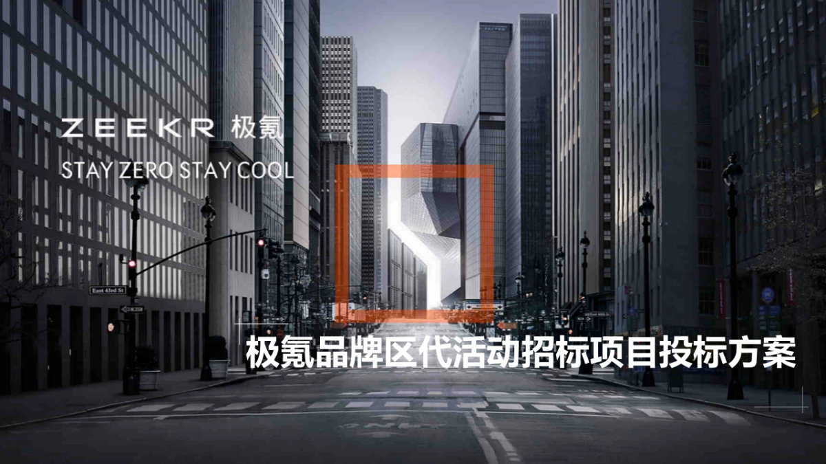 极氪品牌区代活动招标项目投标方案_第1页