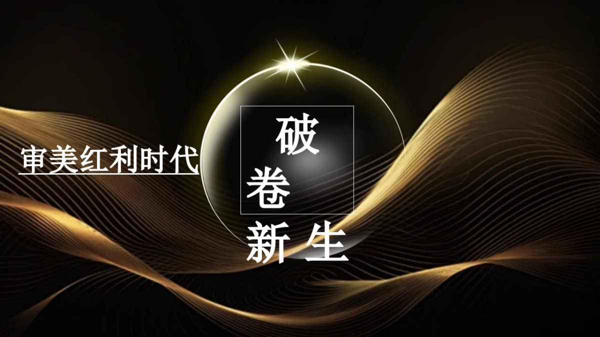 高端美业美容养生科技生活服务品牌营销方案_第9页