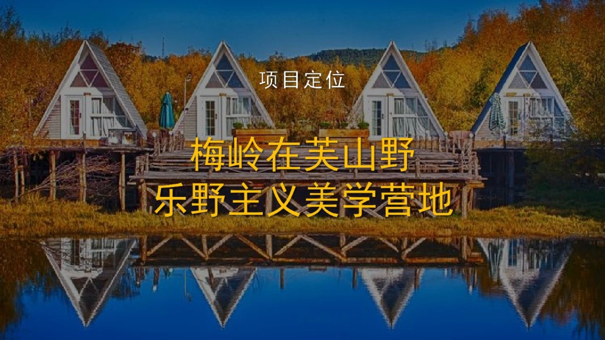 文旅山野营地项目策划设计运营方案_第5页