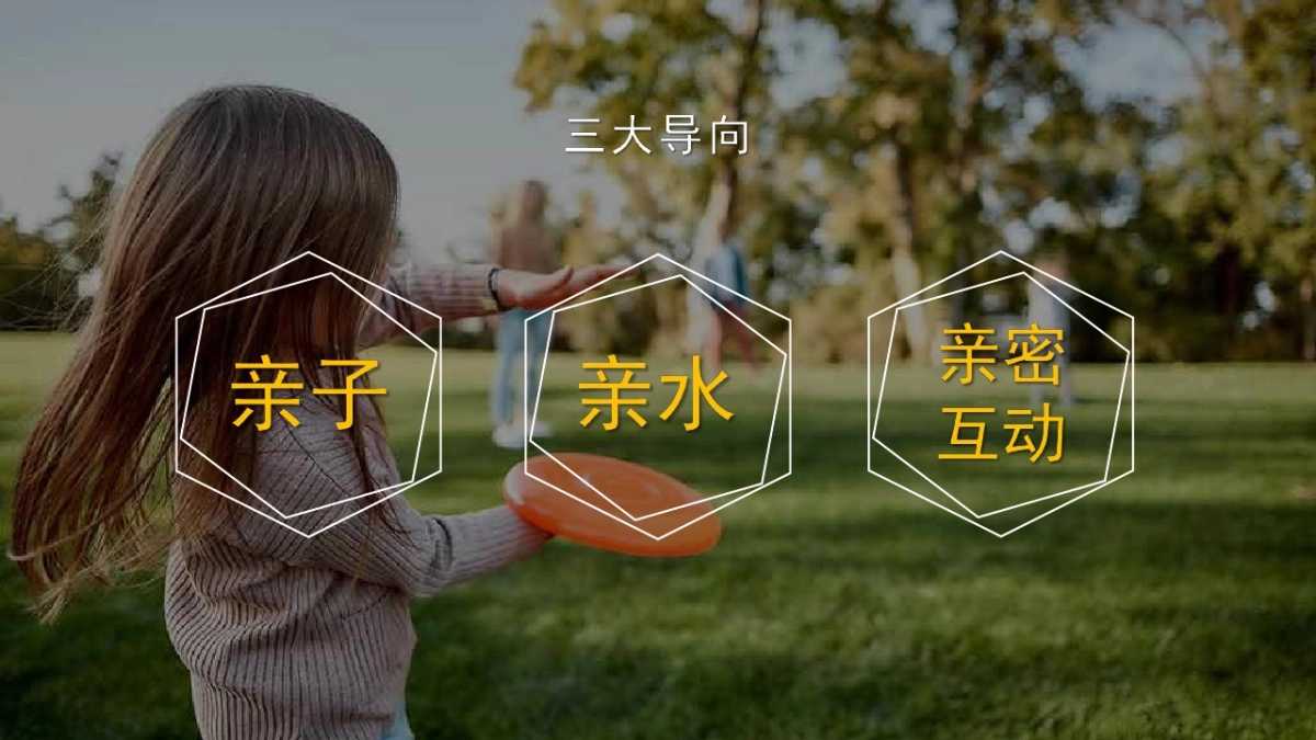 文旅山野营地项目策划设计运营方案_第8页