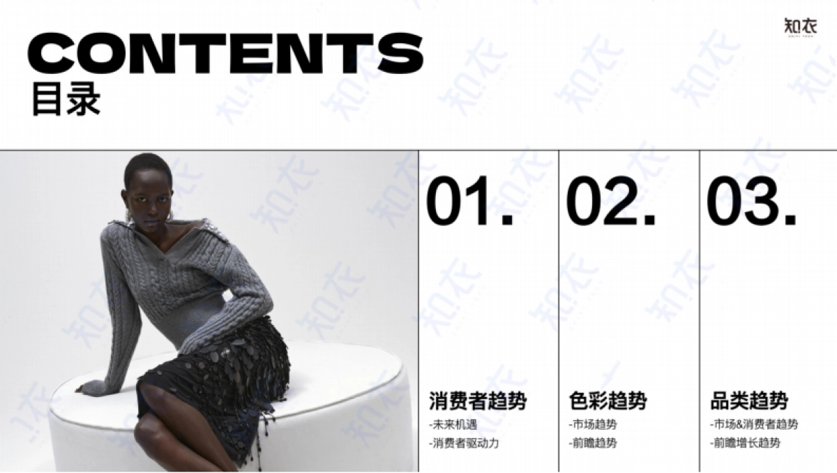 【杭州知衣科技有限公司】2024-2025冬跨境电商女装白皮书_第2页