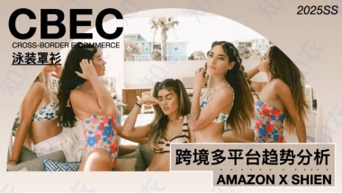 【杭州知衣科技有限公司】2025春夏泳装罩衫跨境多平台趋势分析报告