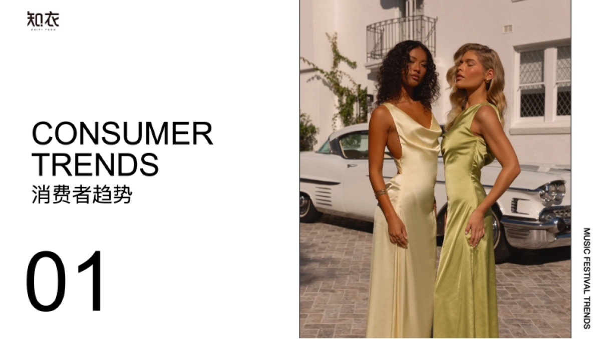 【知衣科技】2024-2025AW跨境电商女装晚礼服_派对着装消费者洞察趋势报告_第4页