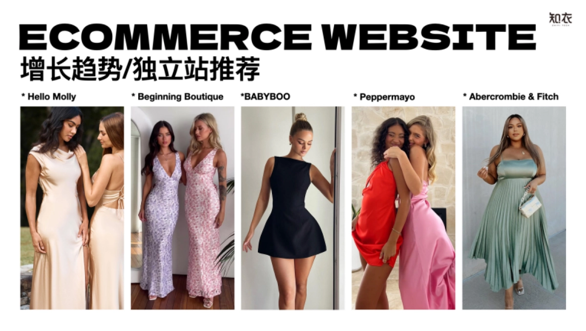 【知衣科技】2024-2025AW跨境电商女装晚礼服_派对着装消费者洞察趋势报告_第9页
