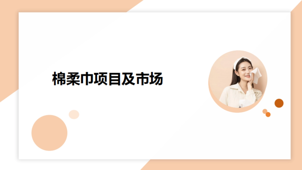 棉柔洗脸巾项目运作及市场认知_第1页