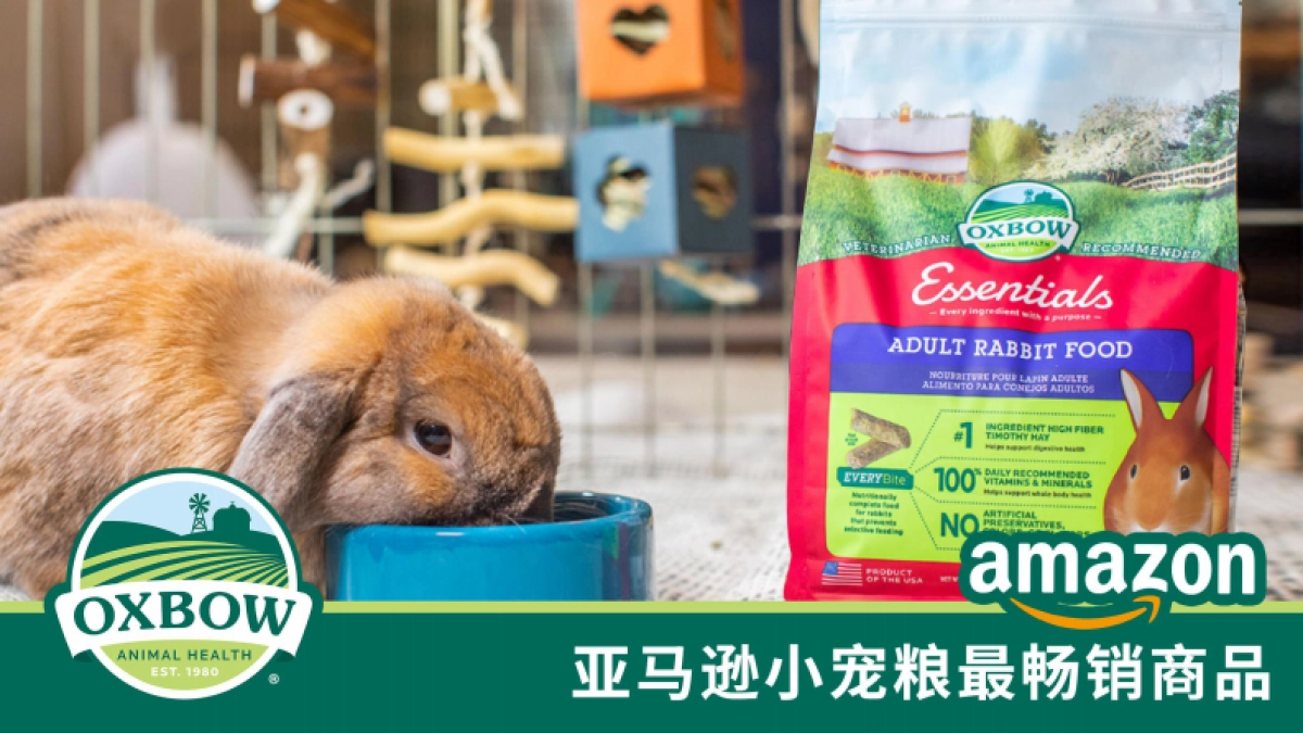 亚宠研究院：2024年中国小宠消费者洞察MINI蓝皮书_第3页