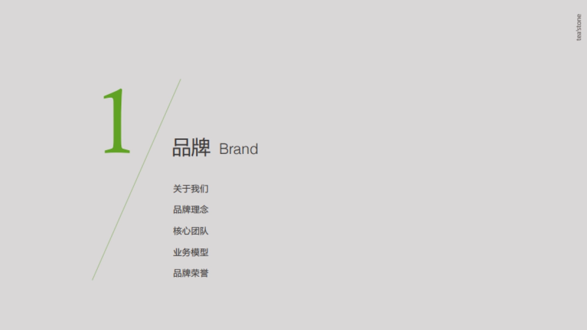 teastone品牌手册_第4页