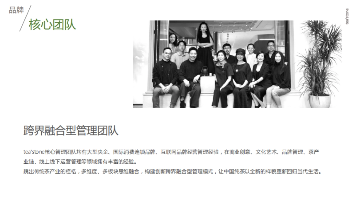 teastone品牌手册_第7页