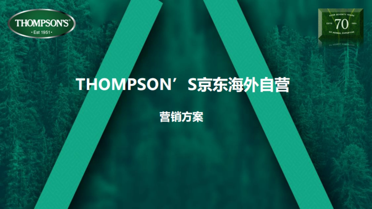 汤普森海外营销方案_第1页