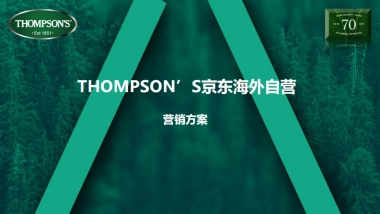 汤普森海外营销方案