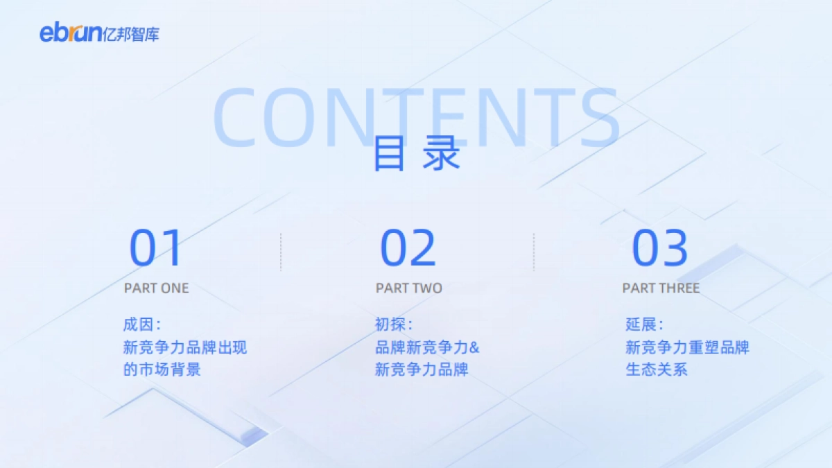 亿邦智库：2024新竞争力品牌洞察报告_第3页