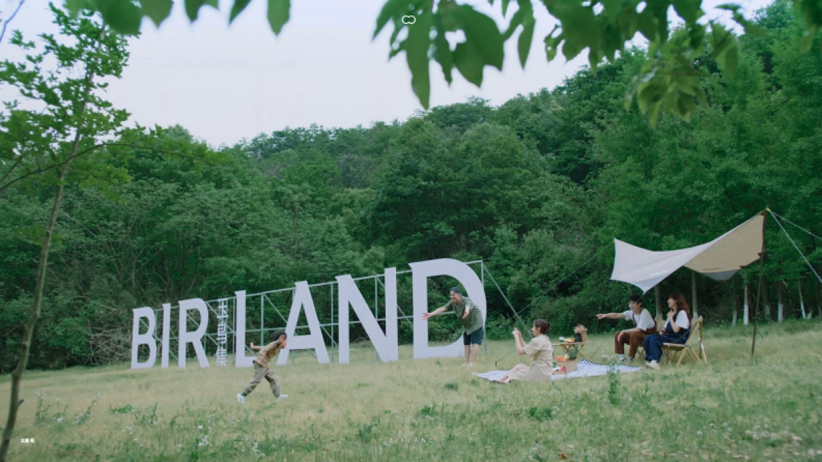 玉鸟集文旅策划_非标商业_第3页