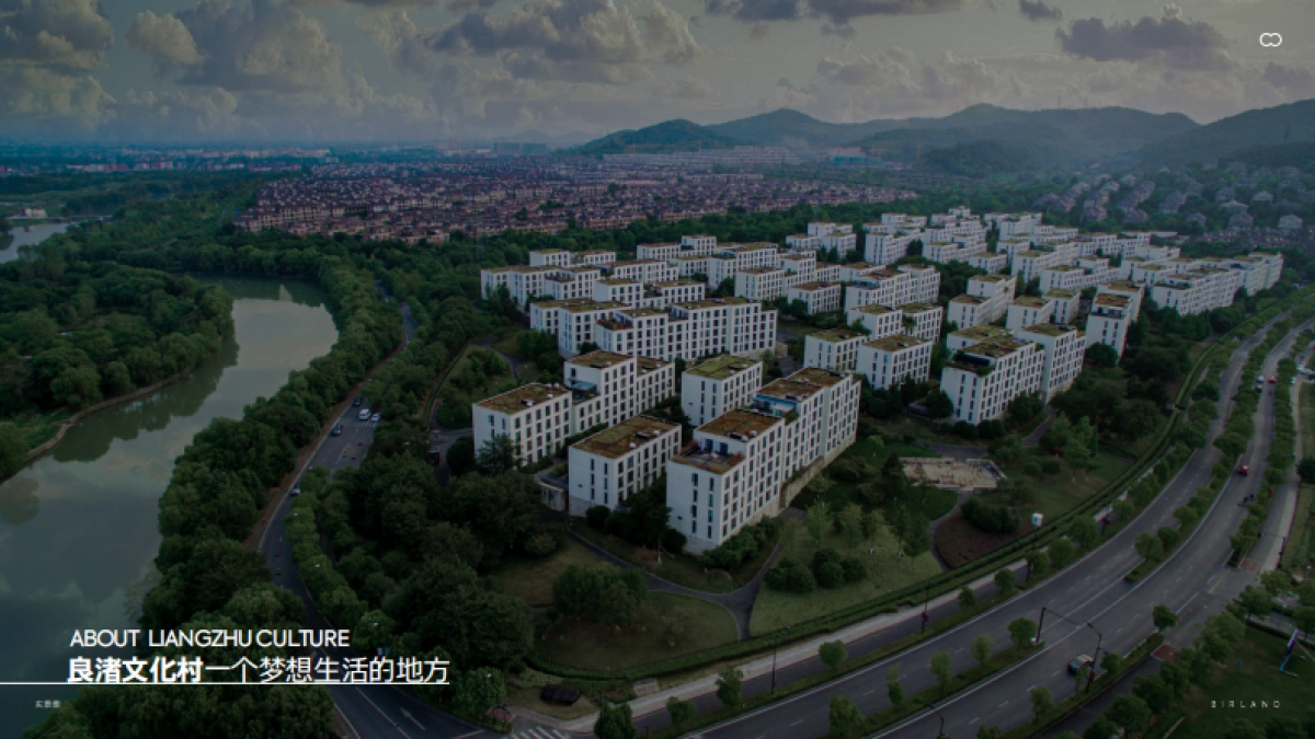 玉鸟集文旅策划_非标商业_第8页