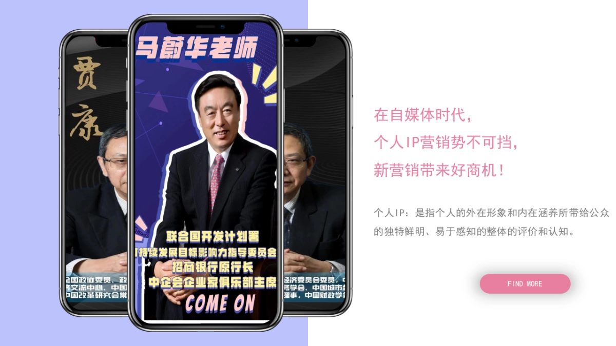 个人IP打造运营方案_第2页