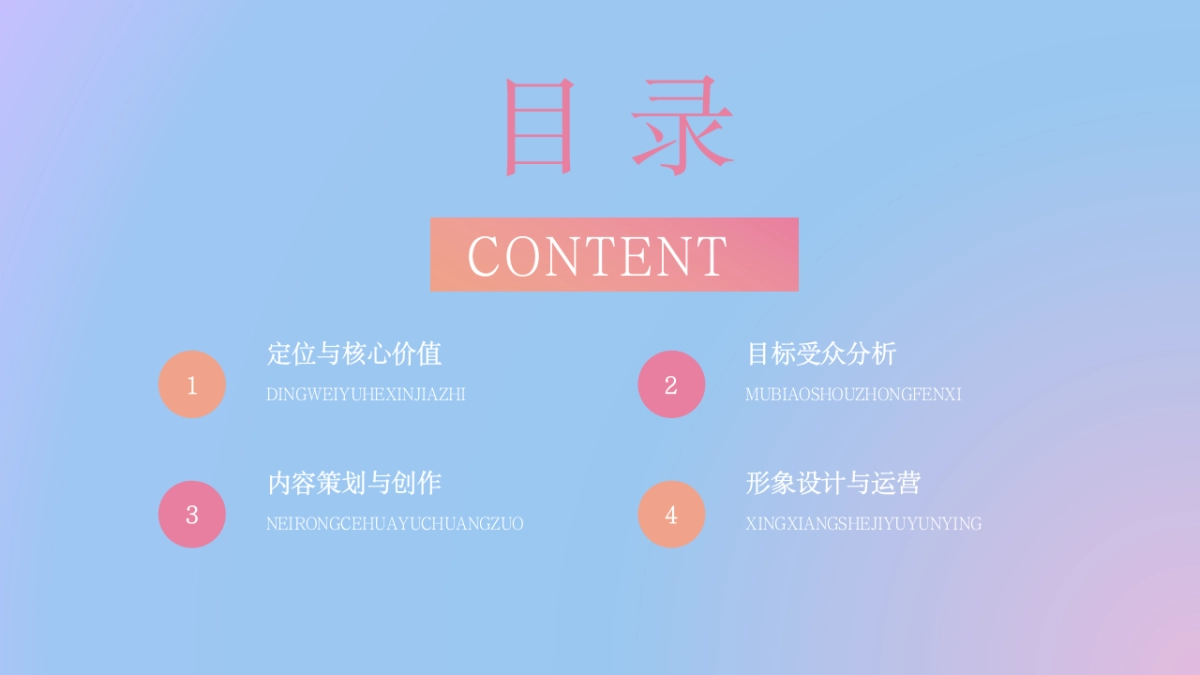 个人IP打造运营方案_第4页