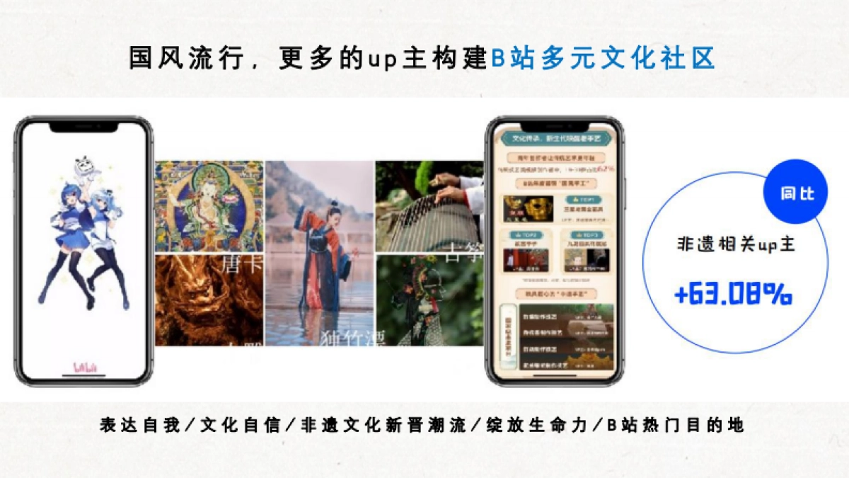 bilibili《孩儿枕》招商方案_第10页