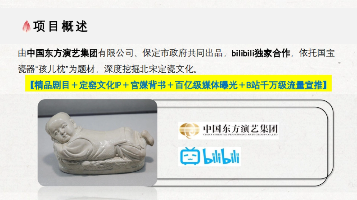 bilibili《孩儿枕》招商方案_第5页