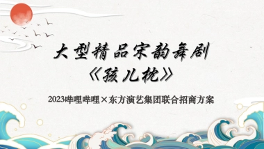 bilibili《孩儿枕》招商方案