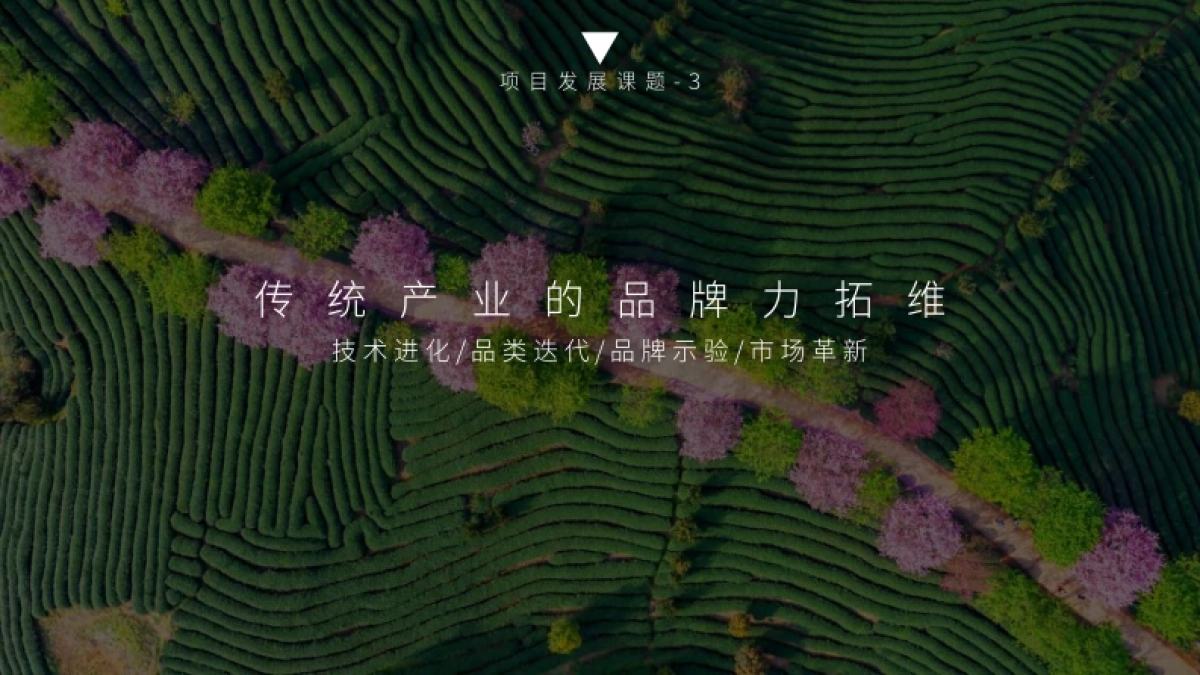 白茶产业文旅特色小镇战略策划与规划概念案_第10页