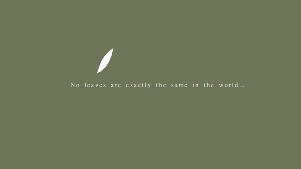 白茶产业文旅特色小镇战略策划与规划概念案_第2页