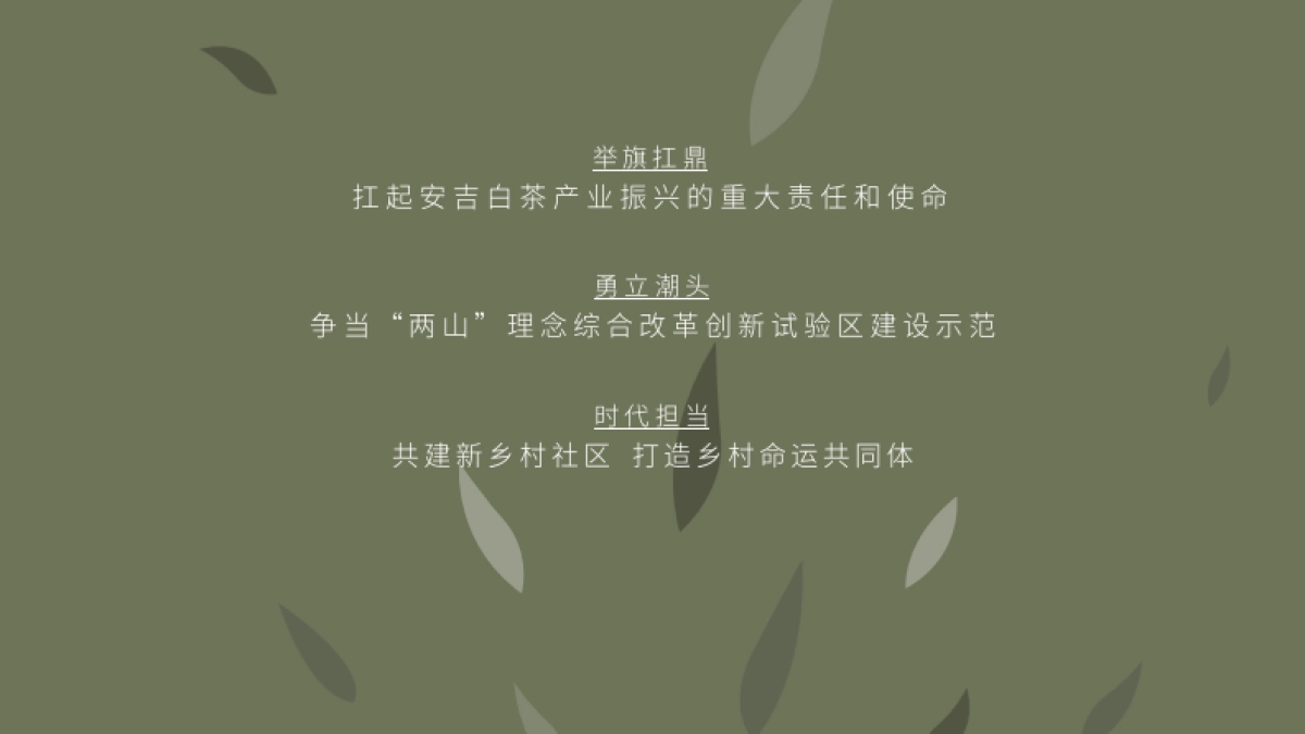 白茶产业文旅特色小镇战略策划与规划概念案_第4页