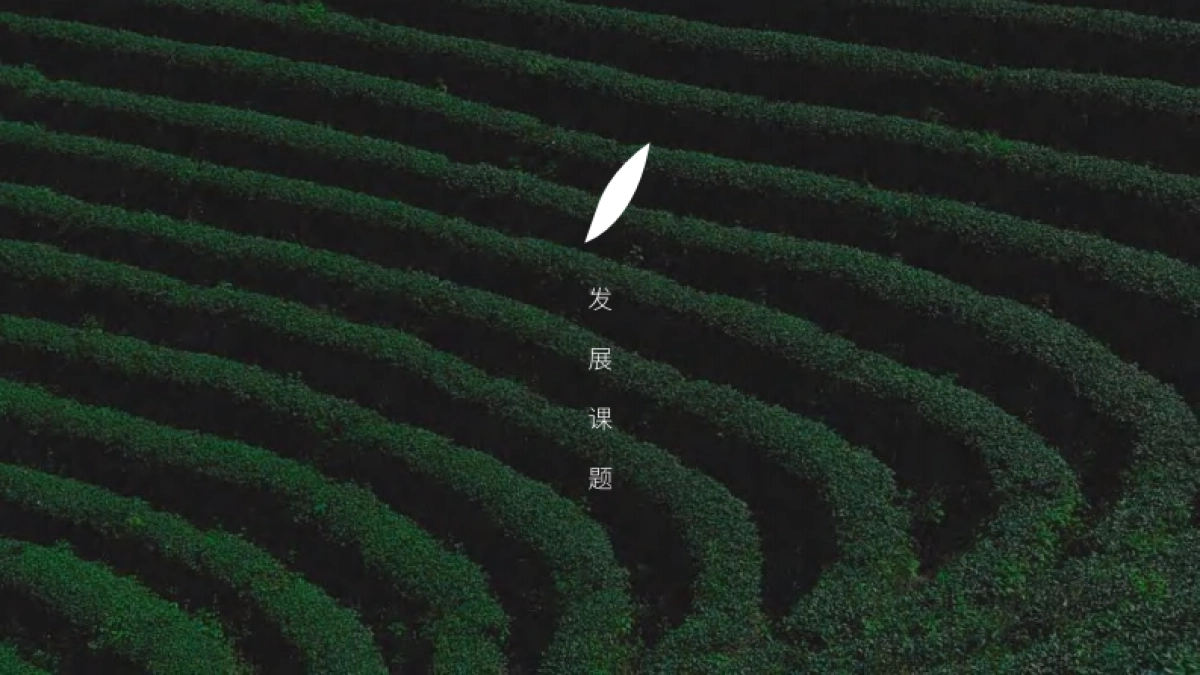 白茶产业文旅特色小镇战略策划与规划概念案_第5页