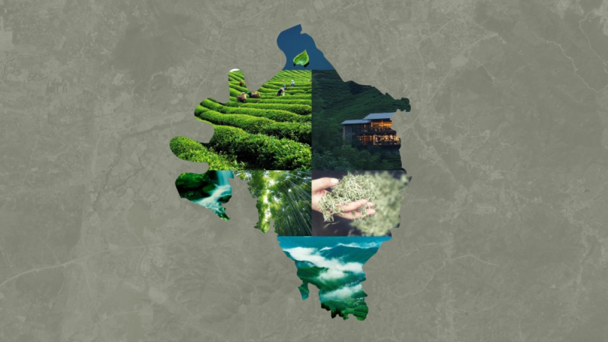 白茶产业文旅特色小镇战略策划与规划概念案_第7页