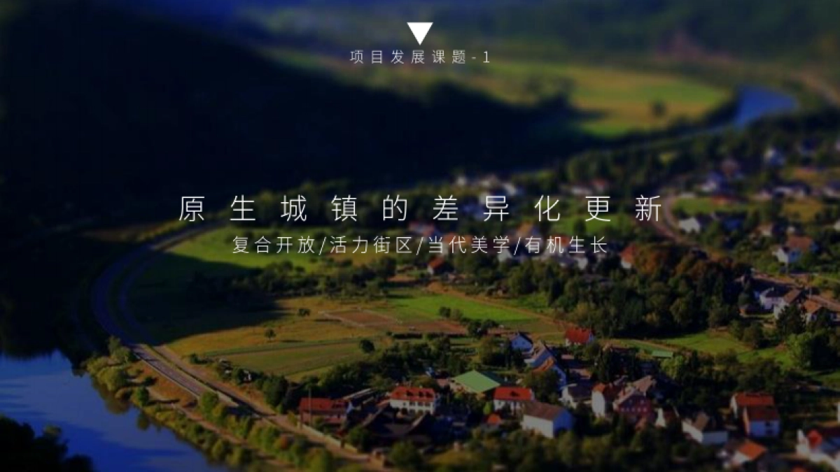 白茶产业文旅特色小镇战略策划与规划概念案_第8页