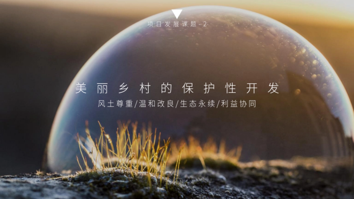 白茶产业文旅特色小镇战略策划与规划概念案_第9页