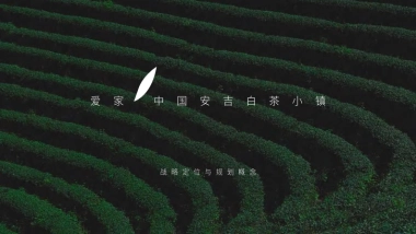 白茶产业文旅特色小镇战略策划与规划概念案