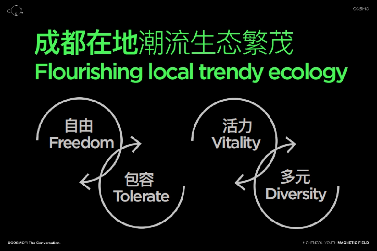 成都青年磁场项目手册_第5页