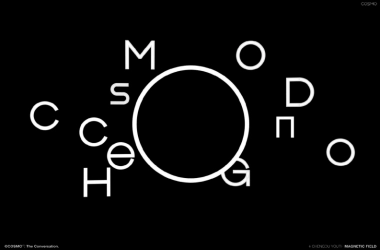成都青年磁场项目手册