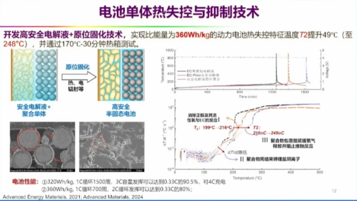 清华大学：中国动力电池发展历程、技术进展与前景展望_第10页
