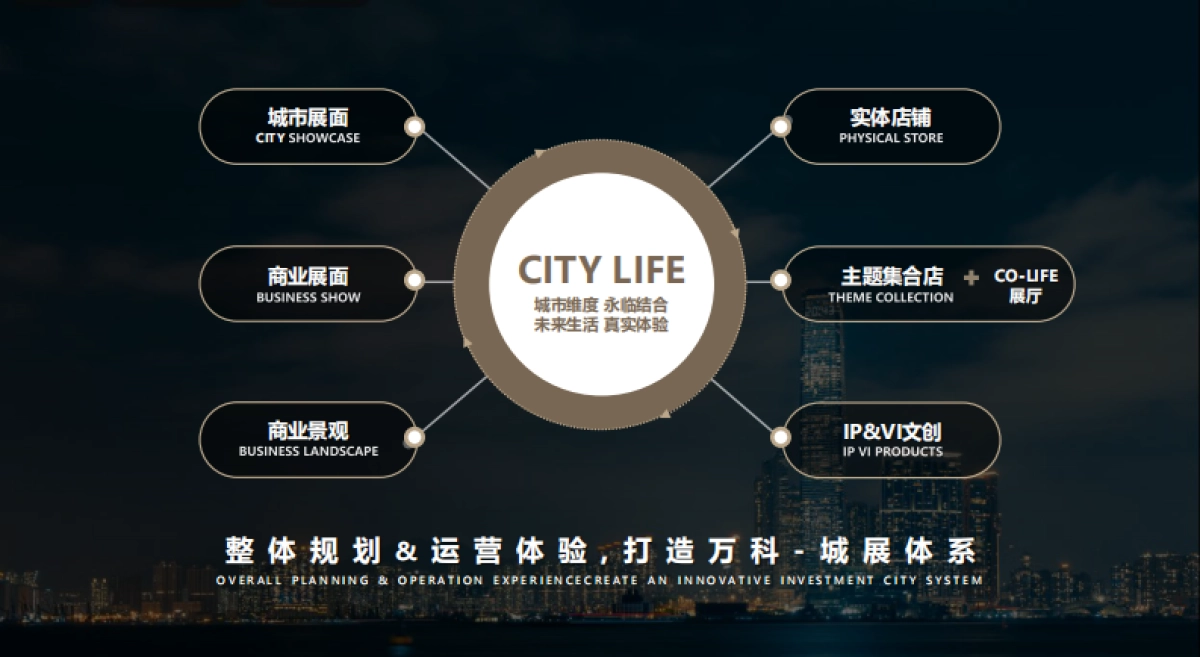 万科理想之城商业运营策划方案_第2页