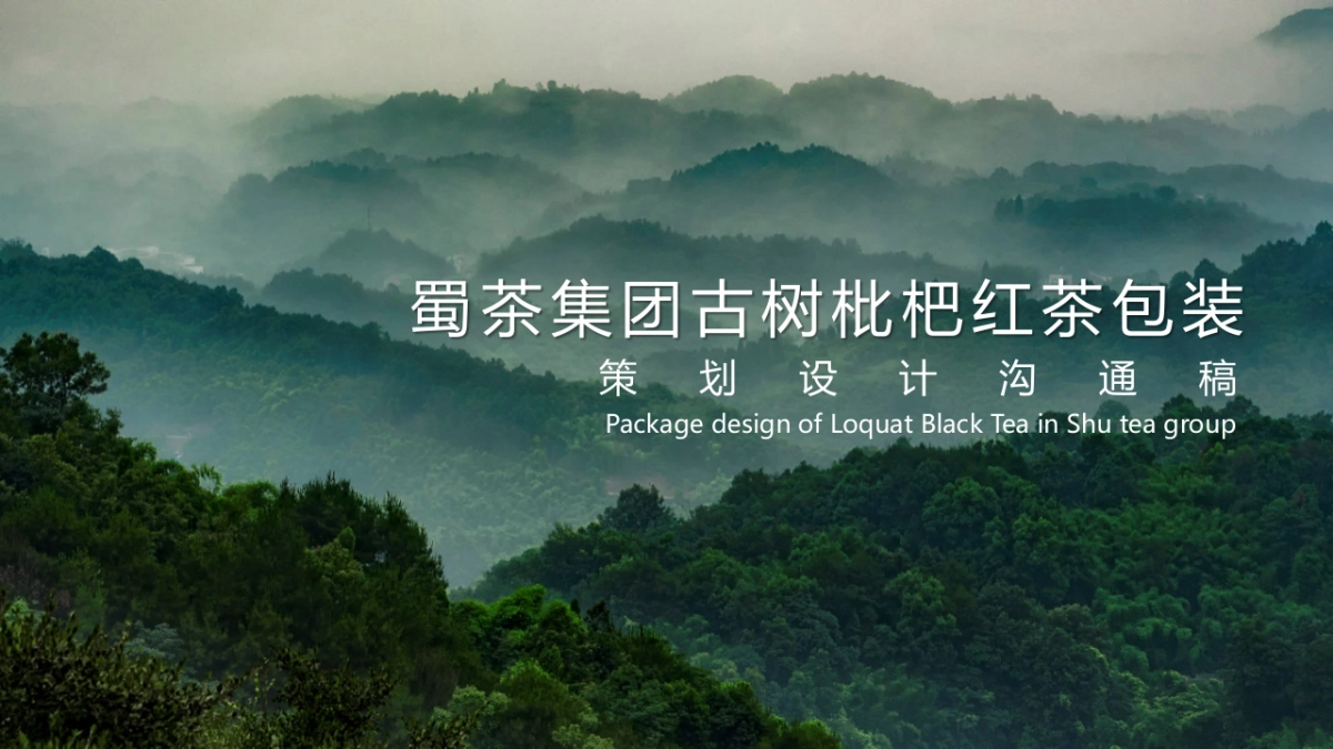 2024古树枇杷红茶品牌包装策划设计沟通_第1页