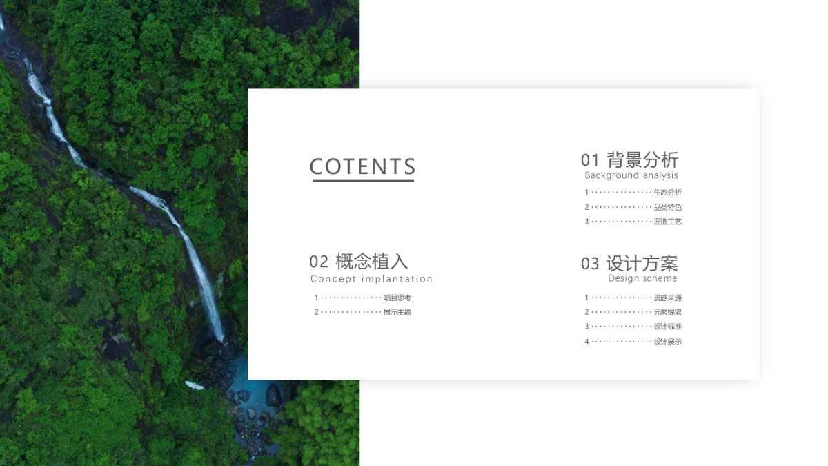 2024古树枇杷红茶品牌包装策划设计沟通_第2页