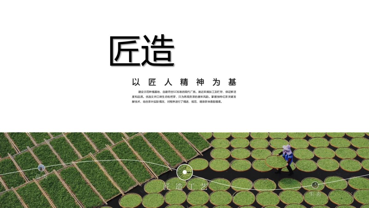 2024古树枇杷红茶品牌包装策划设计沟通_第5页