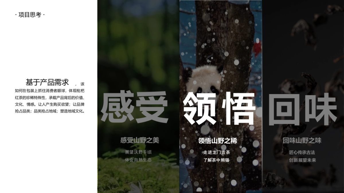 2024古树枇杷红茶品牌包装策划设计沟通_第7页