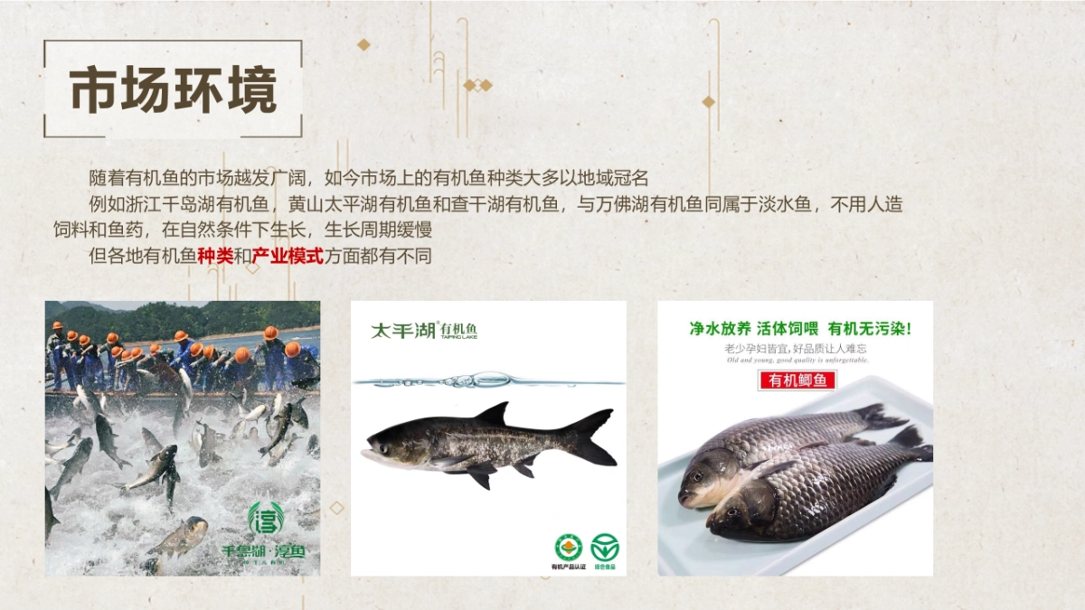 2024湖区生态有机鱼品牌全年营销方案_第6页