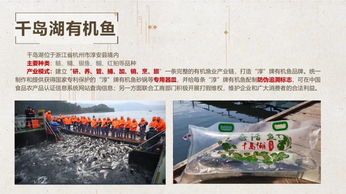 2024湖区生态有机鱼品牌全年营销方案_第7页