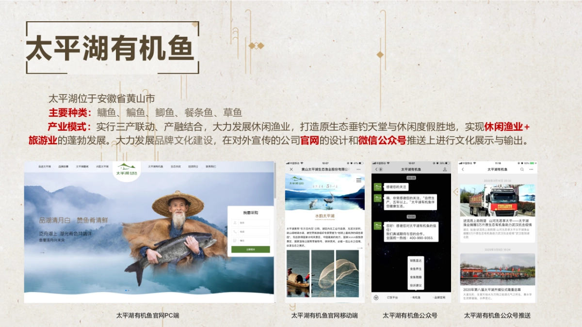 2024湖区生态有机鱼品牌全年营销方案_第8页