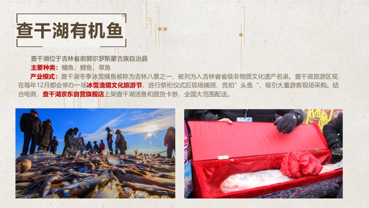 2024湖区生态有机鱼品牌全年营销方案_第9页