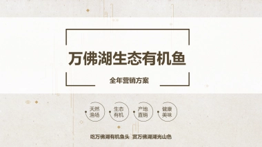 2024湖区生态有机鱼品牌全年营销方案