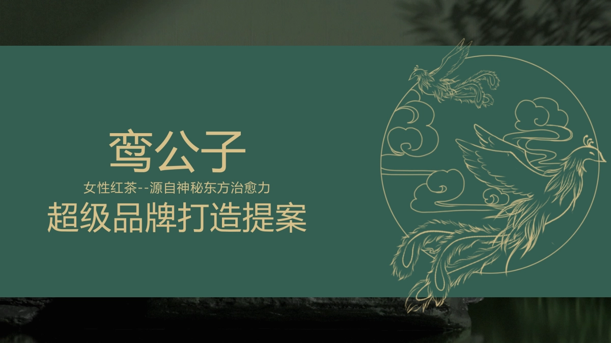 女性红茶超级品牌打造营销全案_第1页