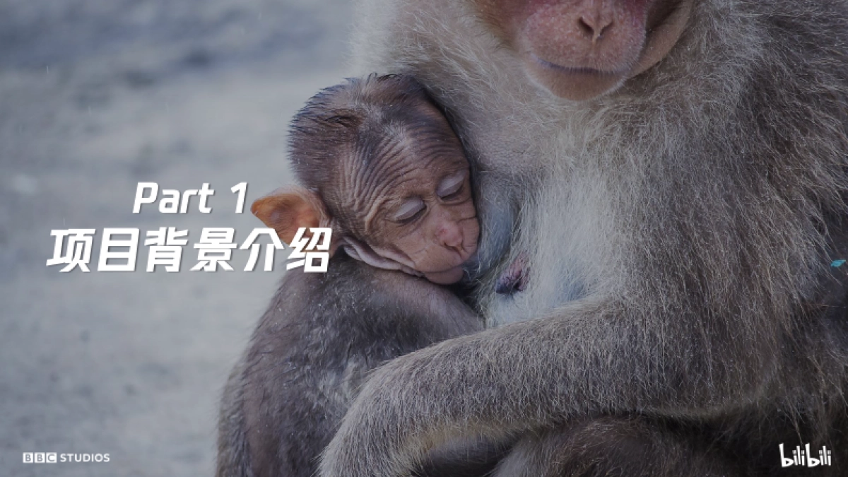 《地球脉动3》招商通案-fin_第2页