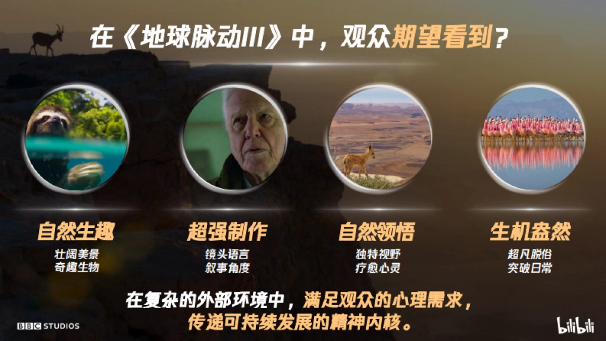 《地球脉动3》招商通案-fin_第8页