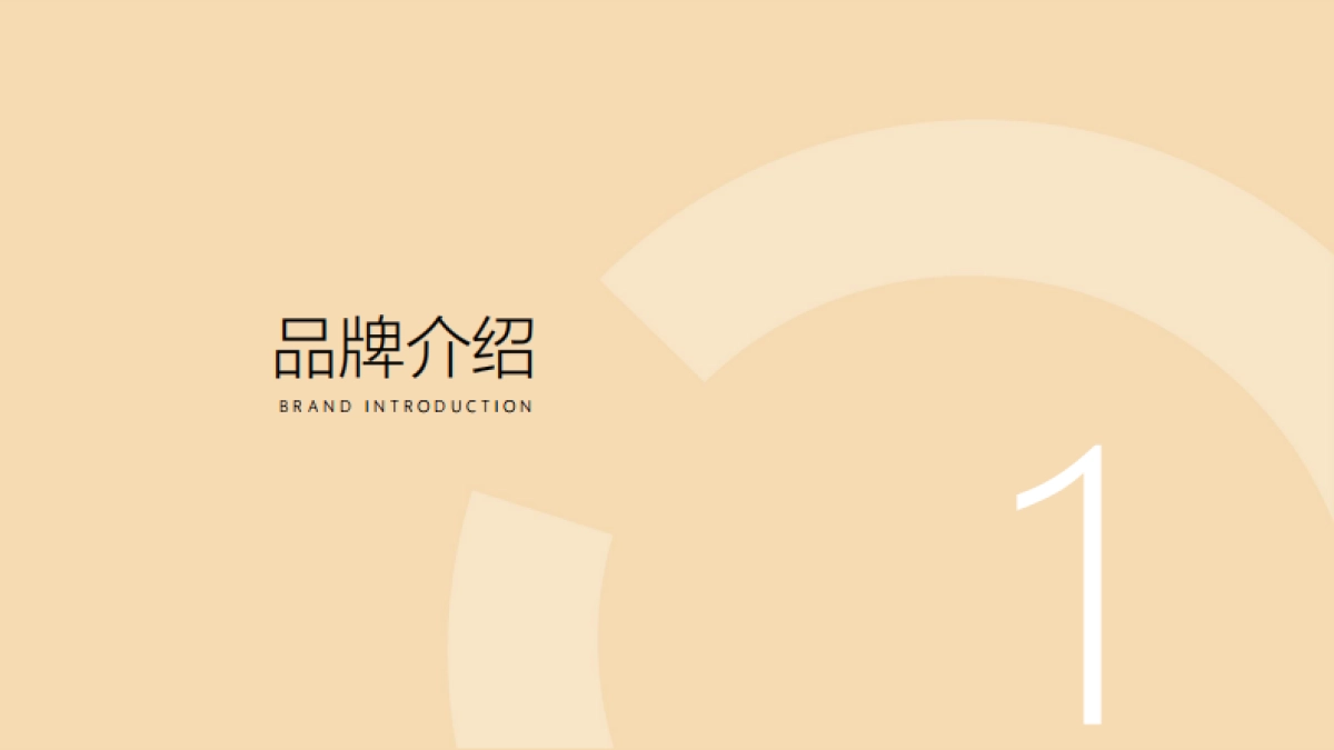 【AMIRO觅光】品牌手册_第2页