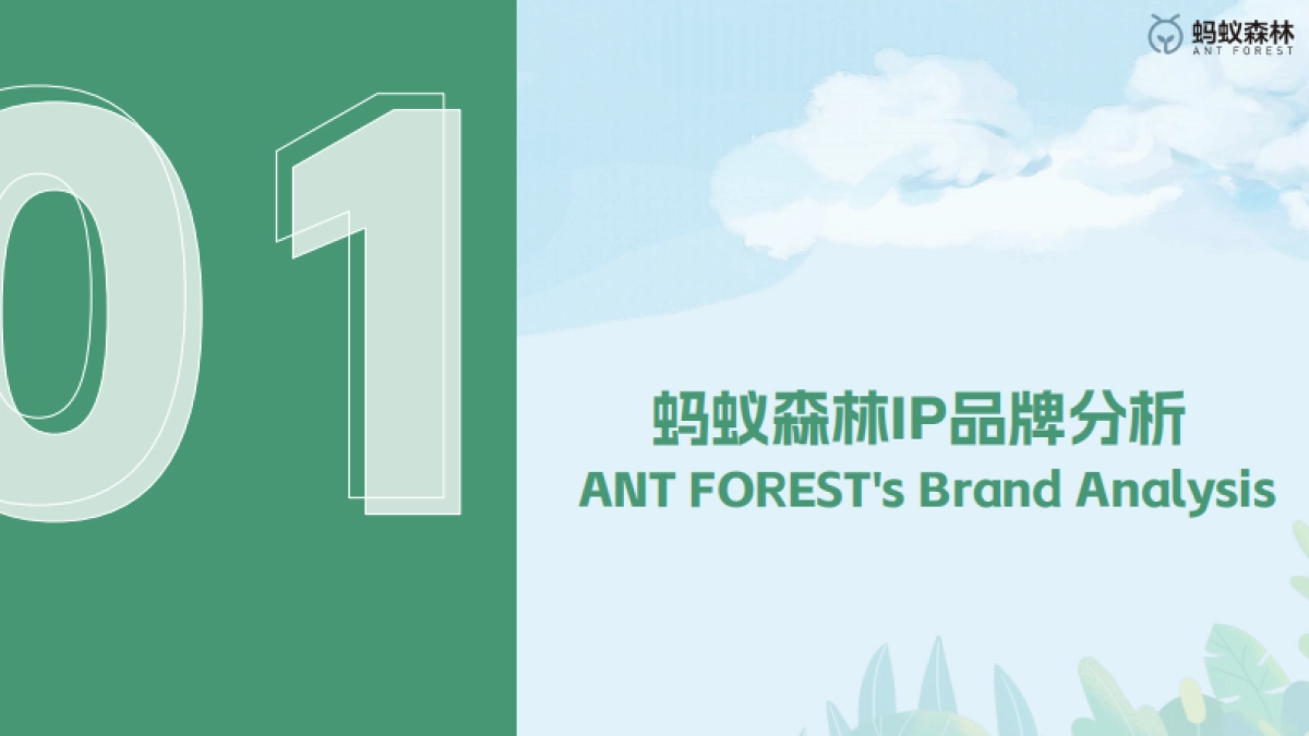 2024蚂蚁森林抖音小红书代运营方案_第3页