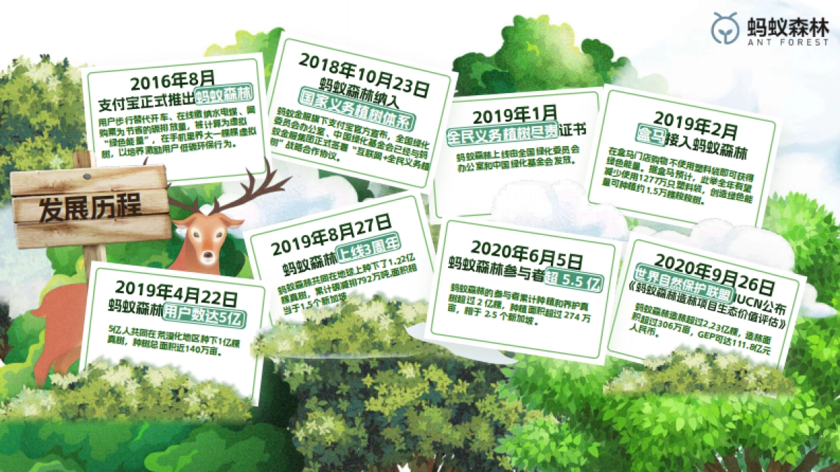 2024蚂蚁森林抖音小红书代运营方案_第5页