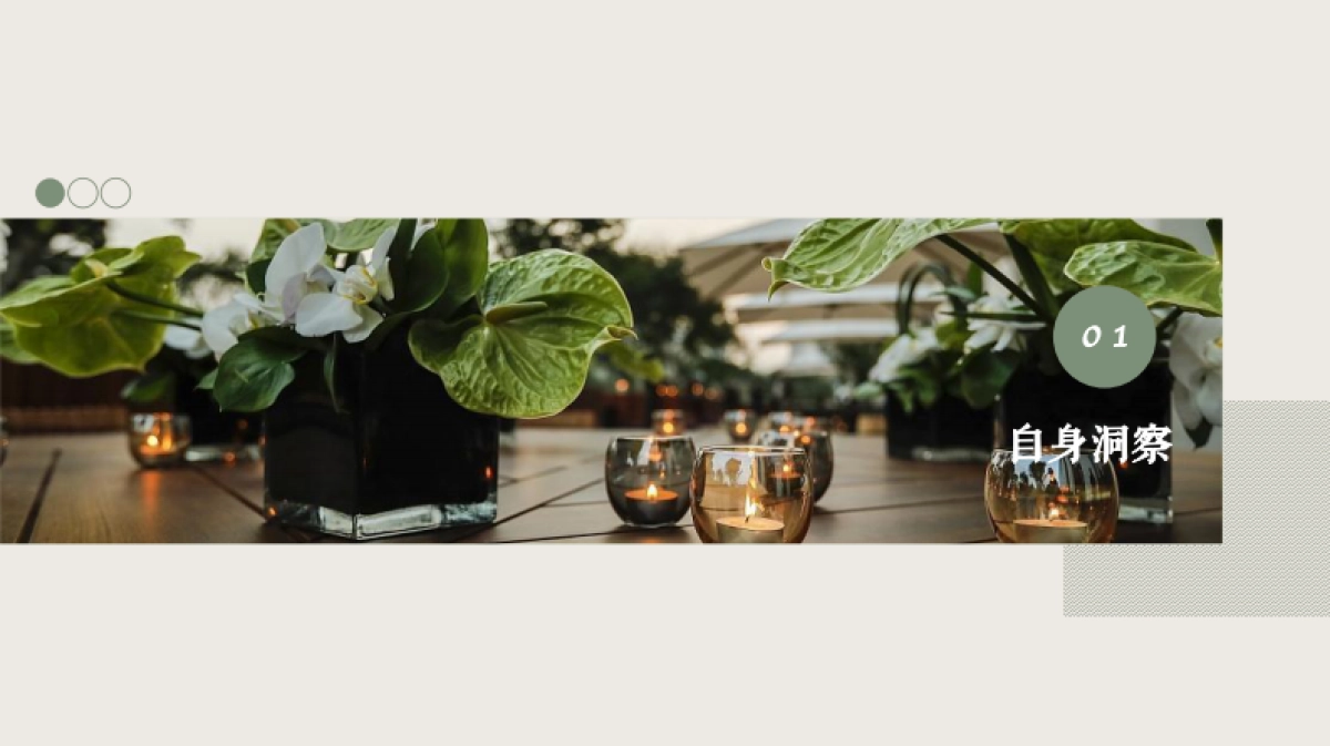 SEASONS季节香薰机社交种草方案_第3页